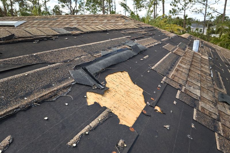 Damaged Roof Replacement detail